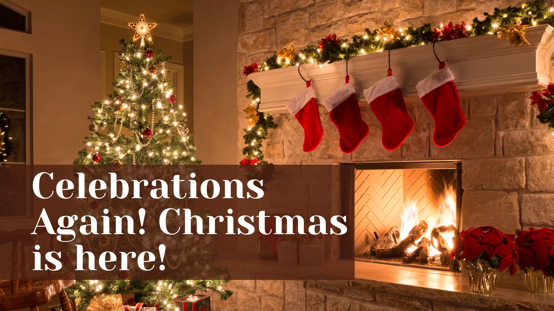 Christmas Celebrations