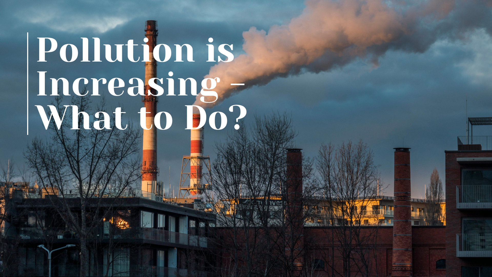 How to Reduce Pollution