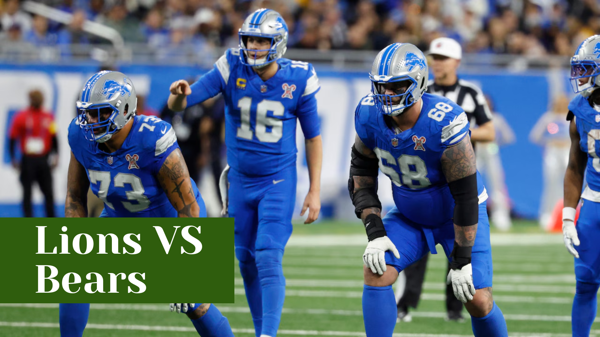 Lions VS Bears