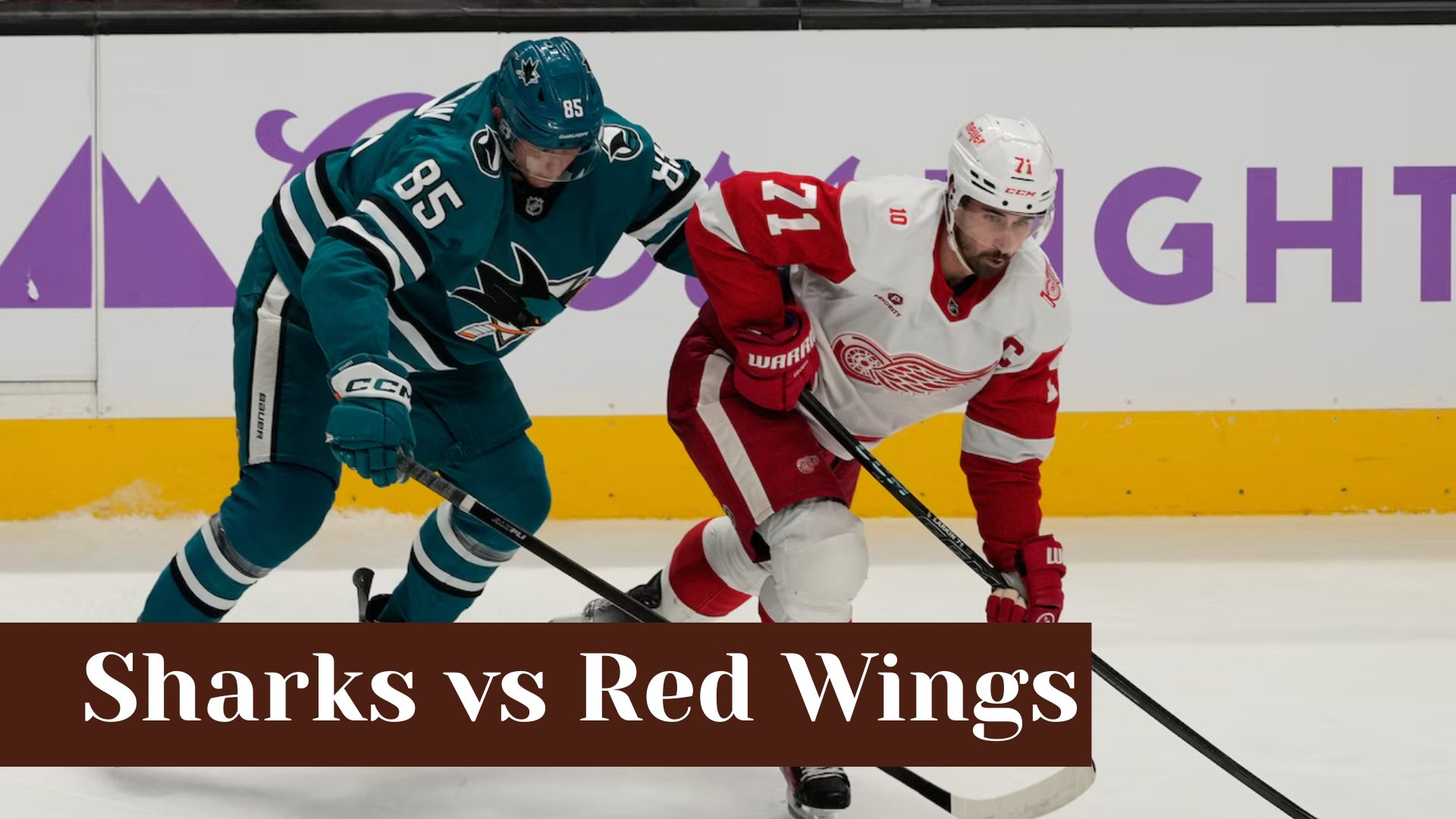 Sharks vs Red Wings